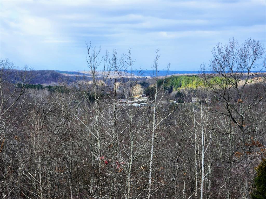 824 Valley Branch Road Nashville, IN 47448 - Photo 20 of 42 Gallery Image 20