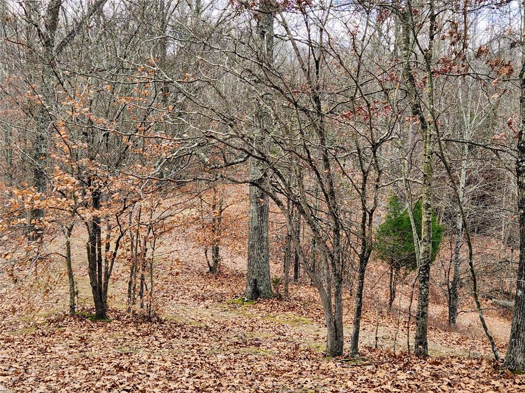 824 Valley Branch Road Nashville, IN 47448 - Photo 22 of 42 Gallery Image 22