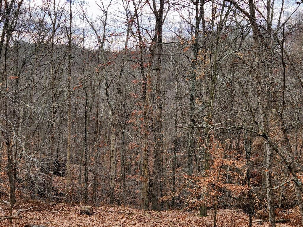 824 Valley Branch Road Nashville, IN 47448 - Photo 24 of 42 Gallery Image 24