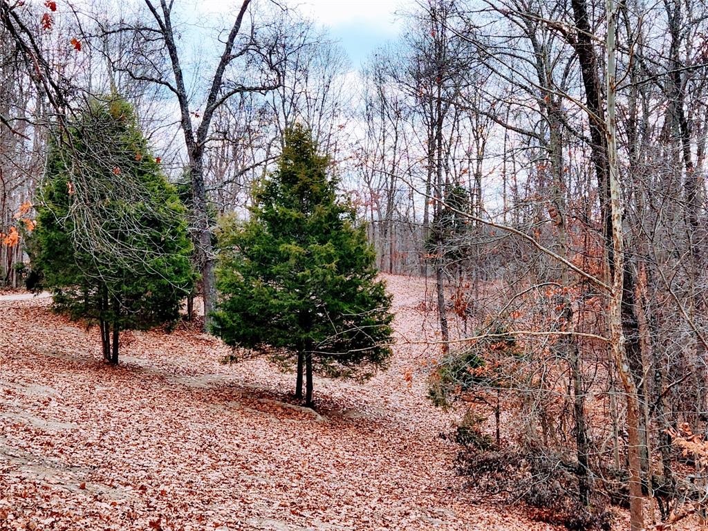 824 Valley Branch Road Nashville, IN 47448 - Photo 25 of 42 Gallery Image 25