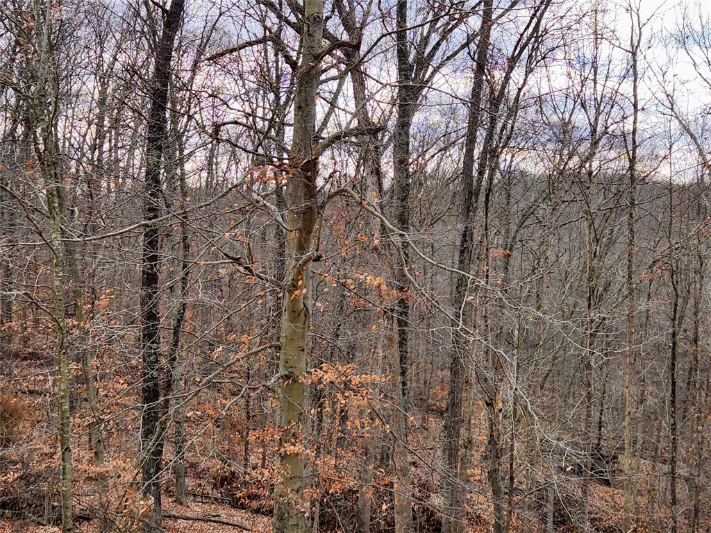 824 Valley Branch Road Nashville, IN 47448 - Photo 26 of 42 Gallery Image 26