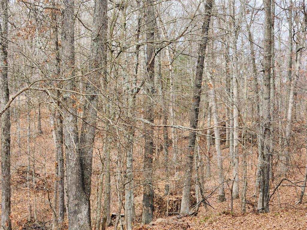 824 Valley Branch Road Nashville, IN 47448 - Photo 29 of 42 Gallery Image 29