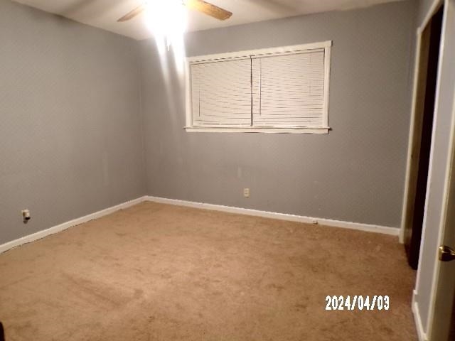 3720 Clarke Road Memphis, TN 38115 - Photo 13 of 29 Gallery Image 13