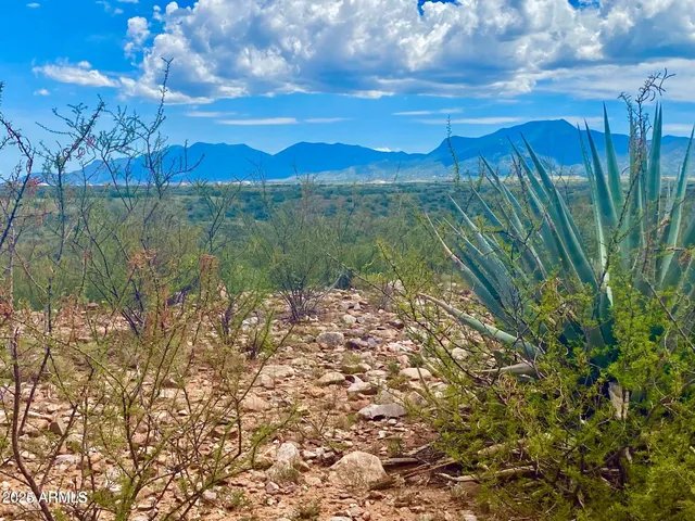 a view of a lake with a yard