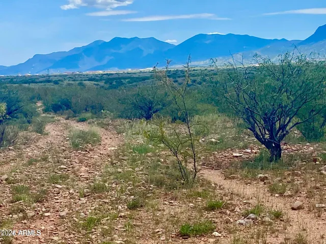 a view of a mountain with a yard