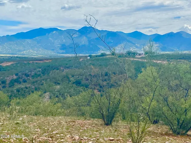 a view of a lush green hillside and a house