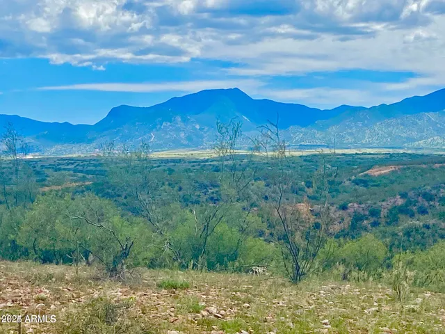 a view of a back yard