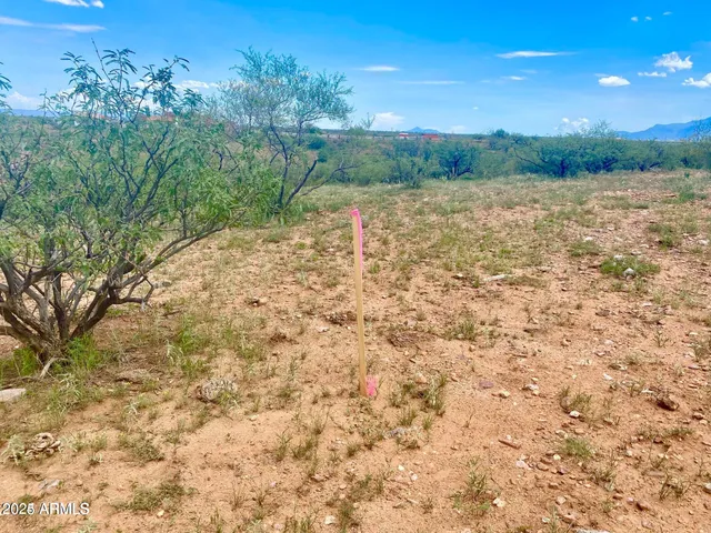 a view of an outdoor space and a yard