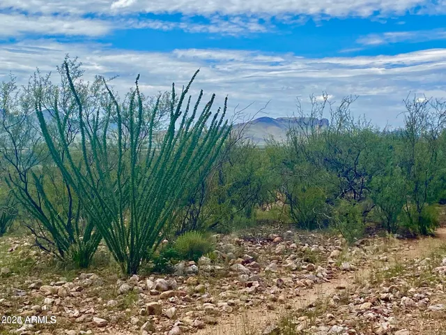 a view of a yard with an outdoor space