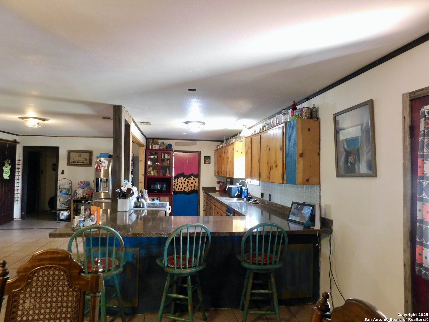 462 County Road 763 Devine, TX 78016 - Photo 6 of 26