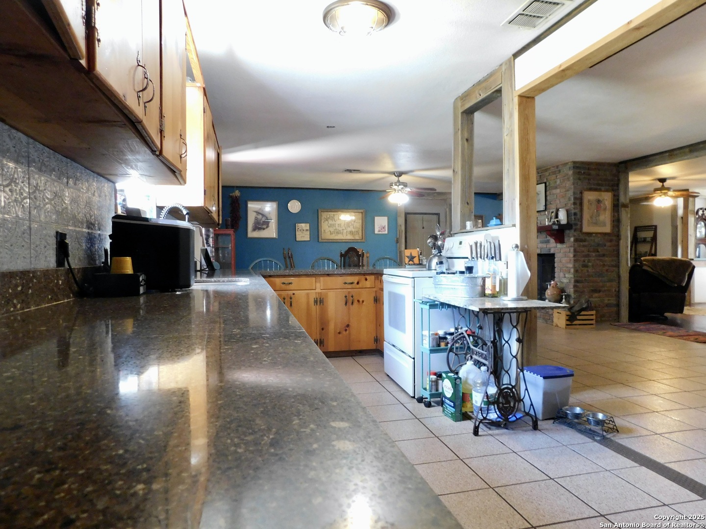 462 County Road 763 Devine, TX 78016 - Photo 7 of 26