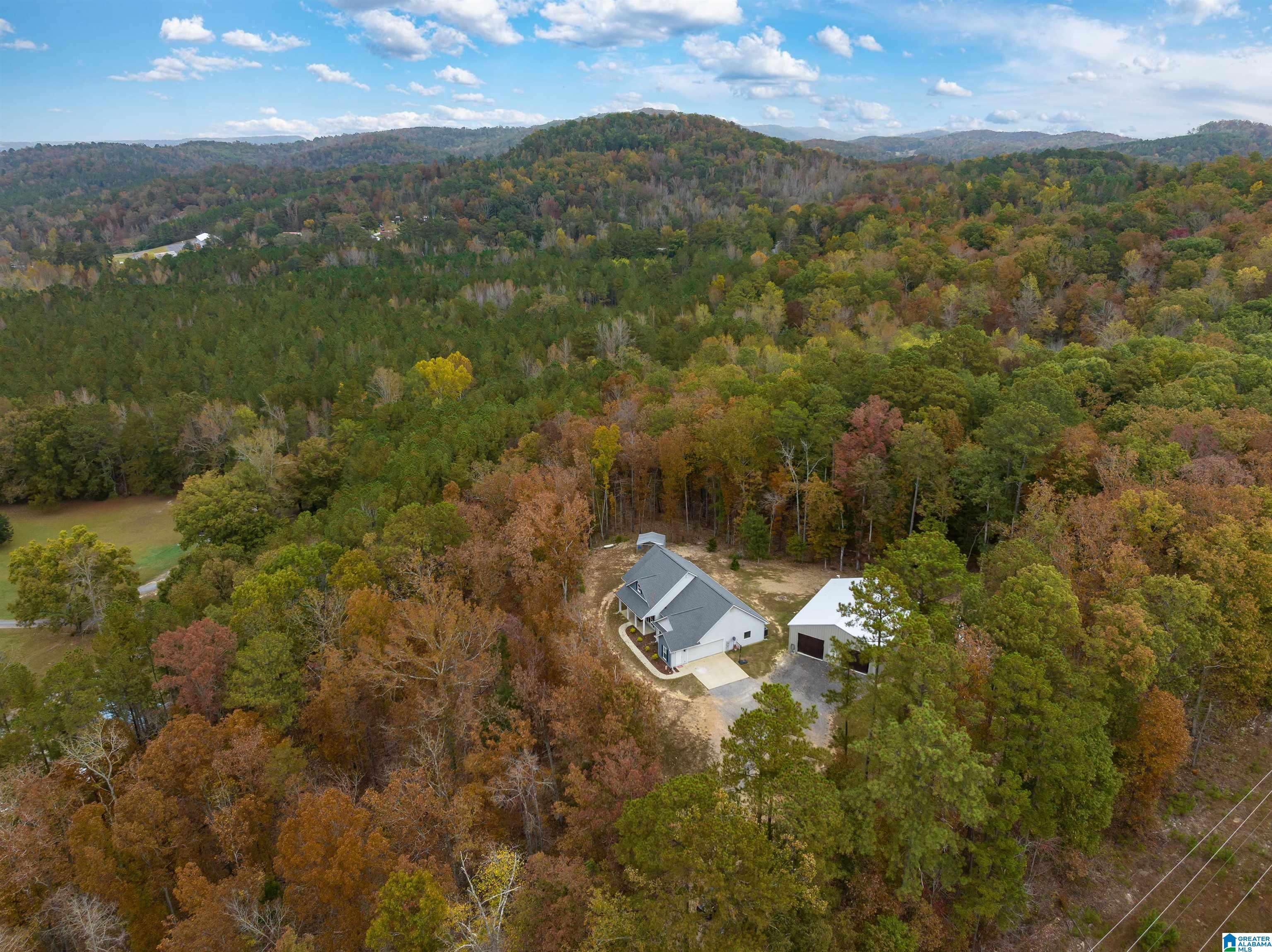 965 Patton Road Oneonta, AL 35121 - Photo 5 of 40 Gallery Image 5