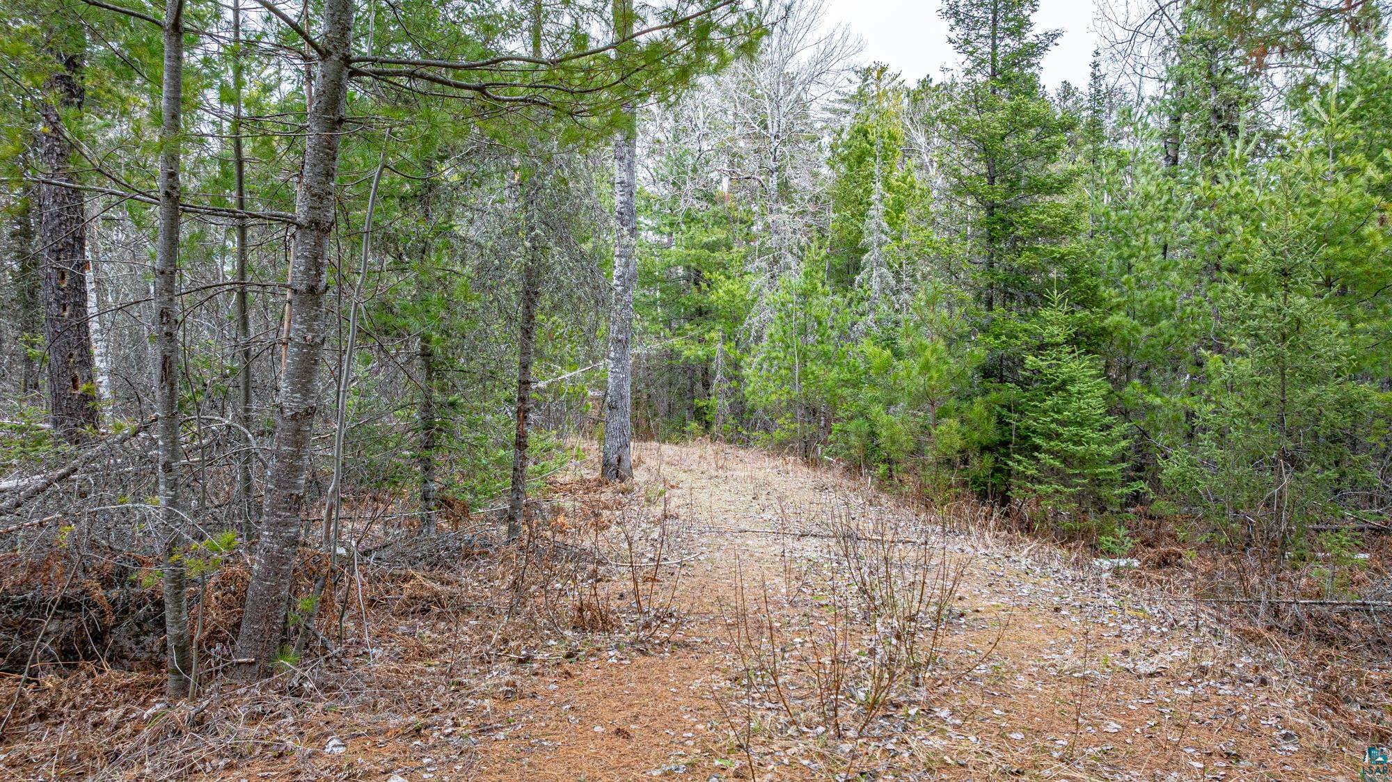 Tbd Lindbeck Road Ely, MN 55731 - Photo 14 of 44