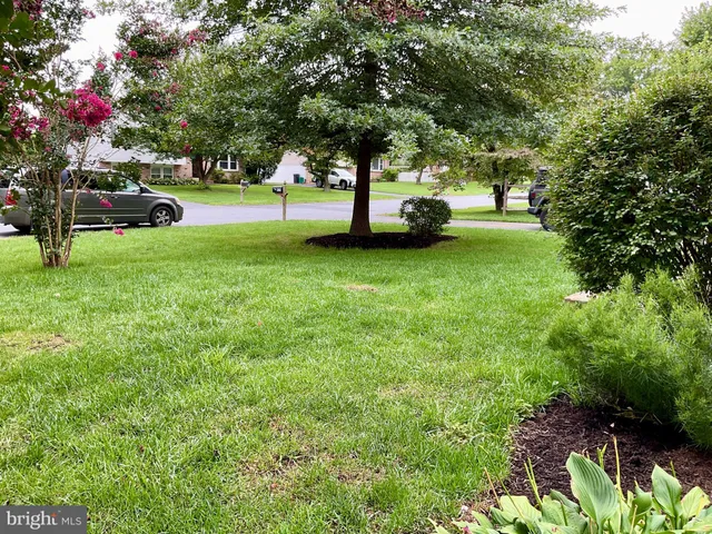a view of park with trees