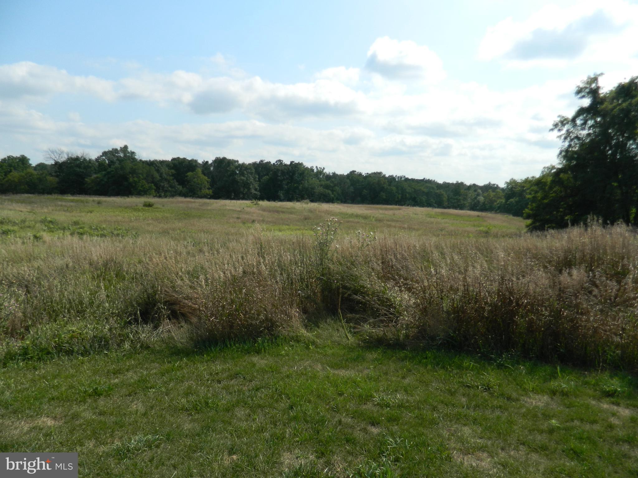 Independence Road Clear Spring, MD 21722 - Photo 4 of 7