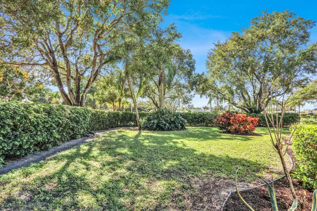 a view of a trees with a yard