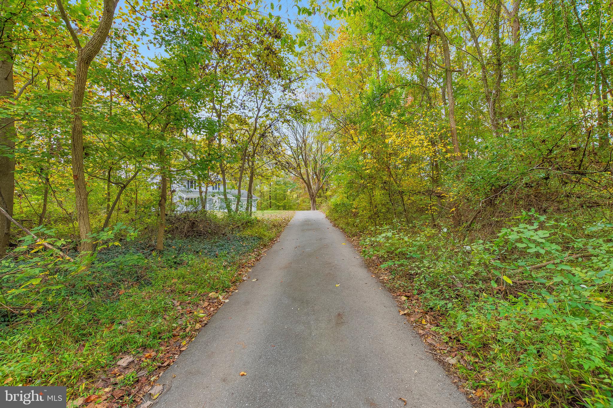 2415 Stoakley Road Prince Frederick, MD 20678 - Photo 36 of 42 a view of a pathway both side of yard