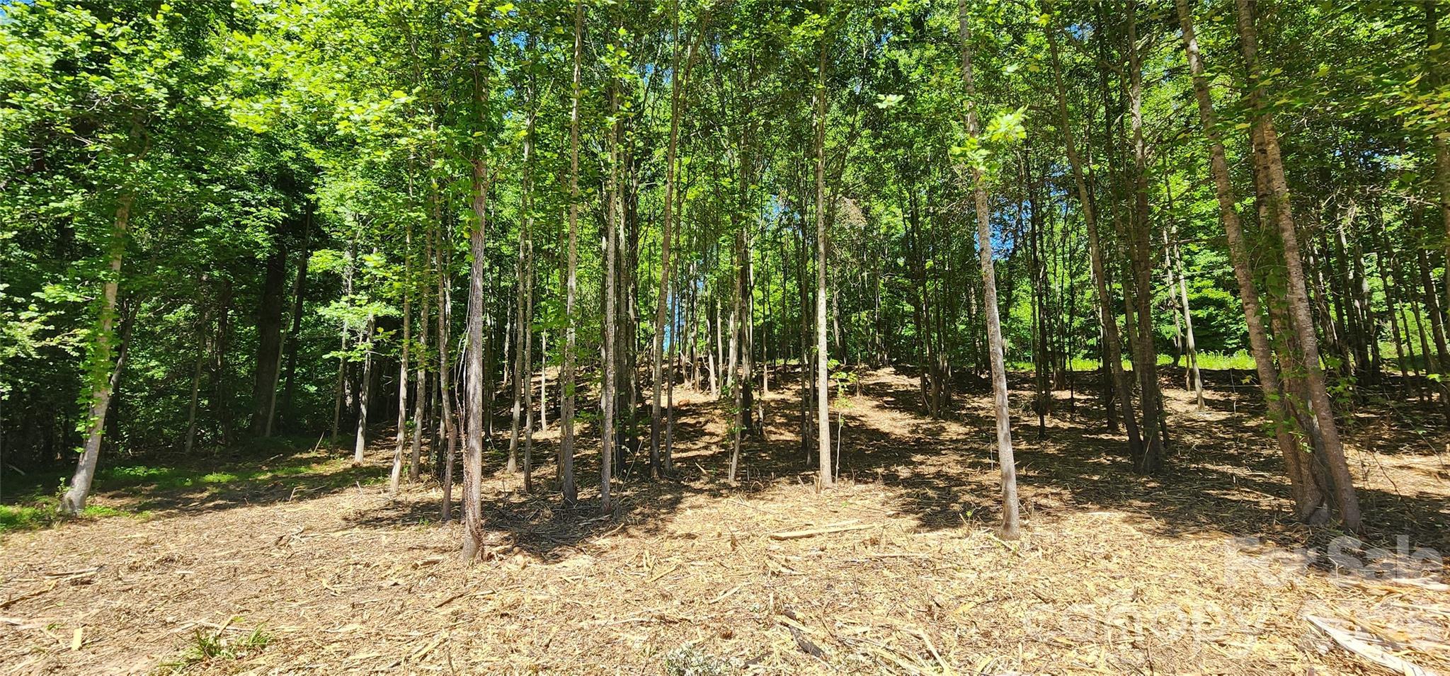 480 Brown Road Spartanburg, SC 29302 - Photo 32 of 47 a view of outdoor space with trees
