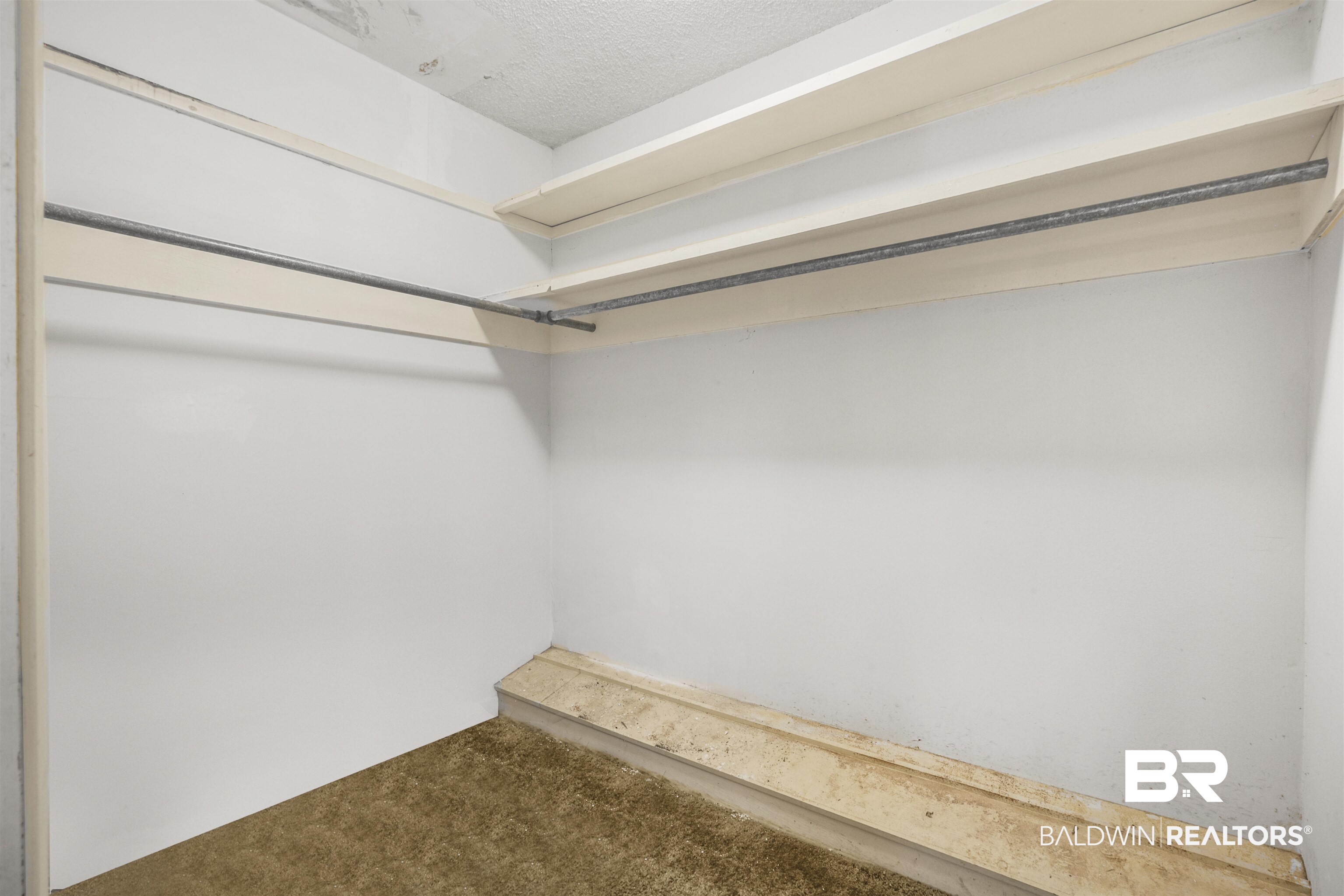 108 Cameron Circle Daphne, AL 36526 - Photo 14 of 31 Walk in closet featuring carpet floors
