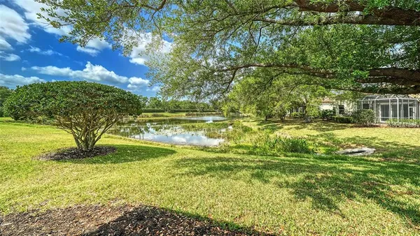 a view of a house with backyard and a tree