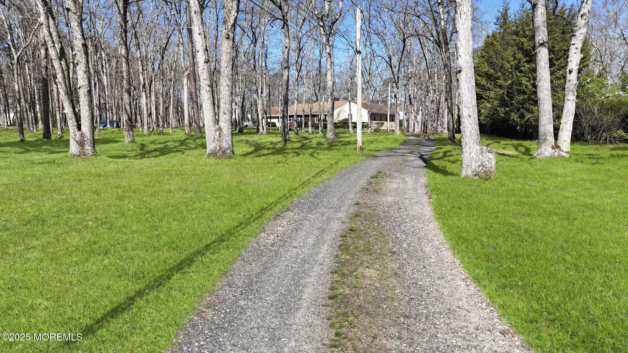 156 Sams Road Jackson, NJ 08527 - Photo 2 of 46 a view of a park with large trees