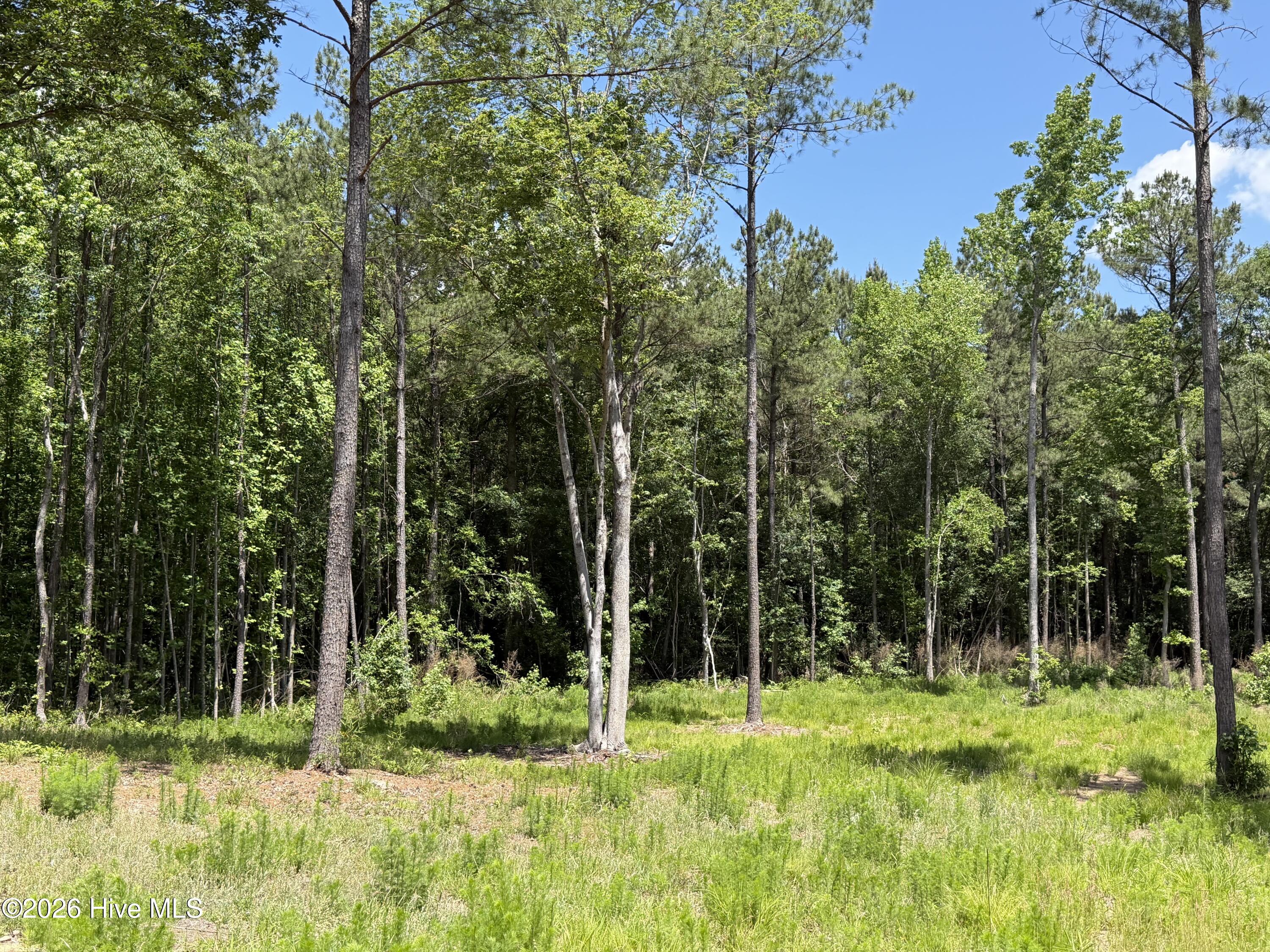 979 Aiken Road Vass, NC 28394 - Photo 17 of 26 979 Aiken Rd 17