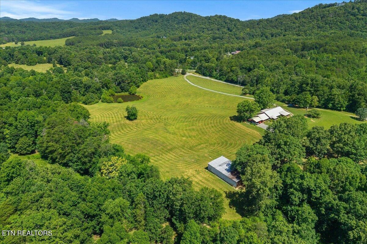 910 Reagan Valley Road Tellico Plains, TN 37385 - Photo 51 of 58 Gallery Image 51