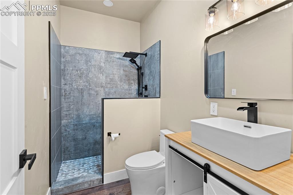 332 Yellow Bird Road Rye, CO 81069 - Photo 17 of 49 a bathroom with a sink a toilet a mirror and shower