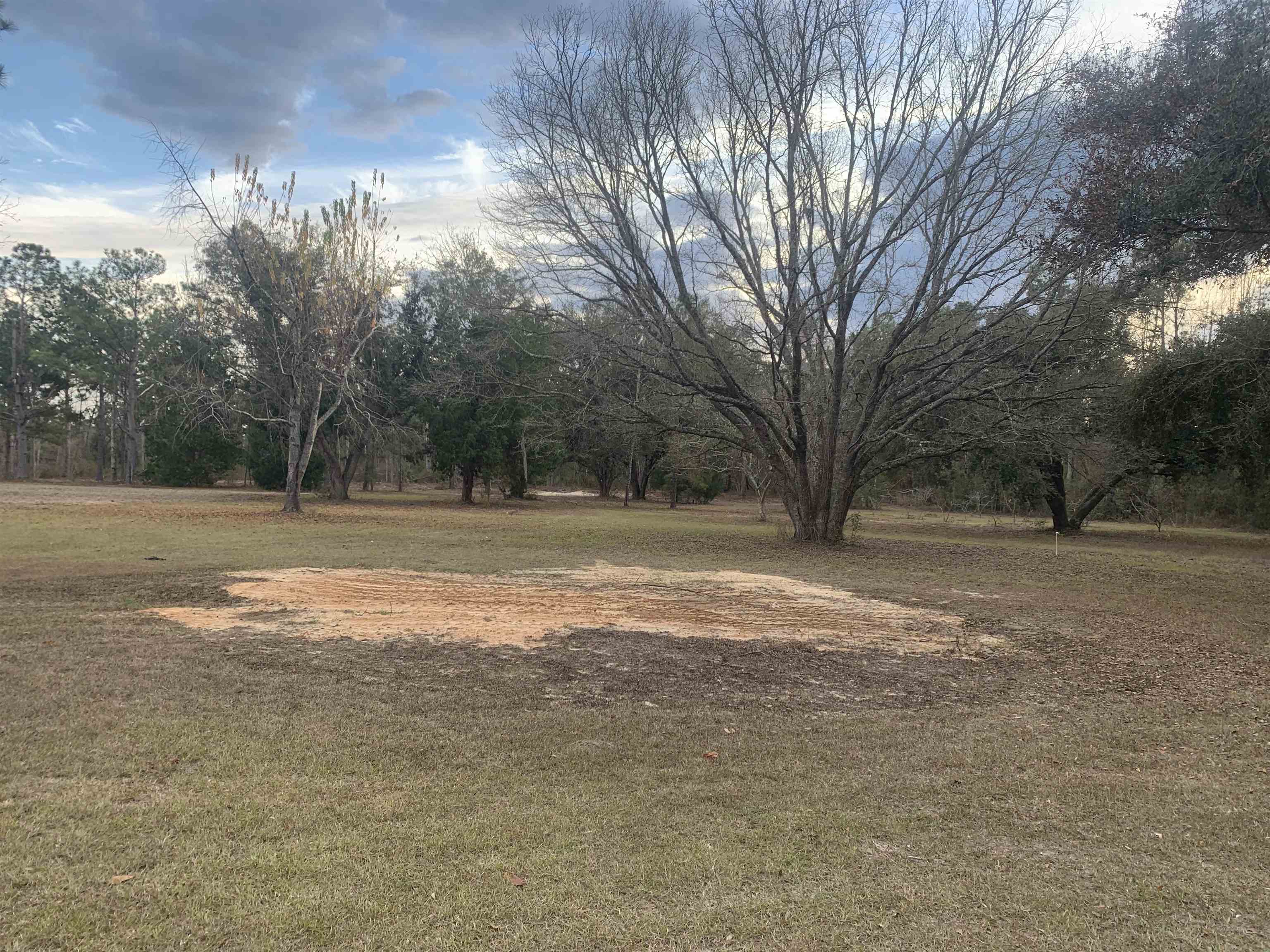 1701 Southwest Moseley Hall Road Madison, FL 32340 - Photo 17 of 35 Gallery Image 17
