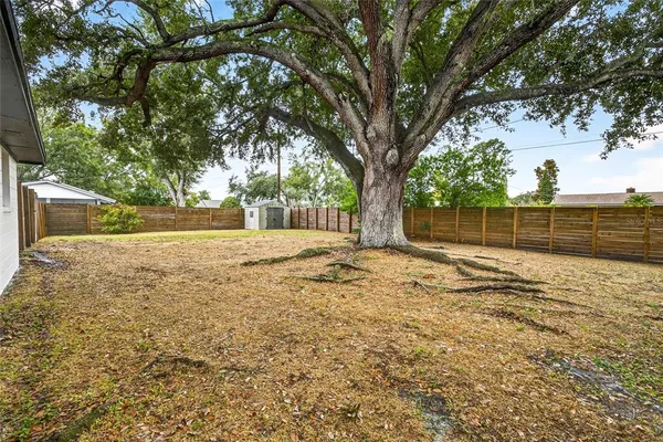 a view of yard with wooden fence and large trees