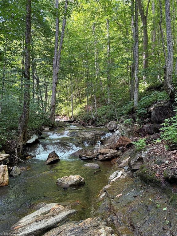904 Bryan Hollow Road Boone, NC 28607 - Photo 49 of 50 Gallery Image 49