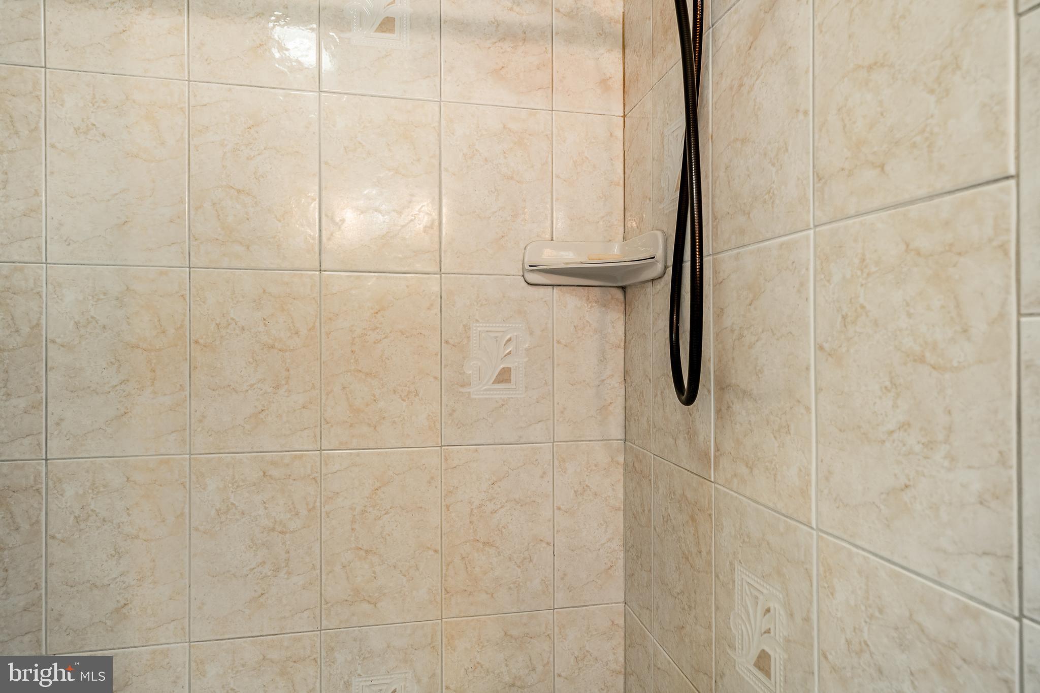 779 Concord Road Glen Mills, PA 19342 - Photo 36 of 64 a bathroom with a shower