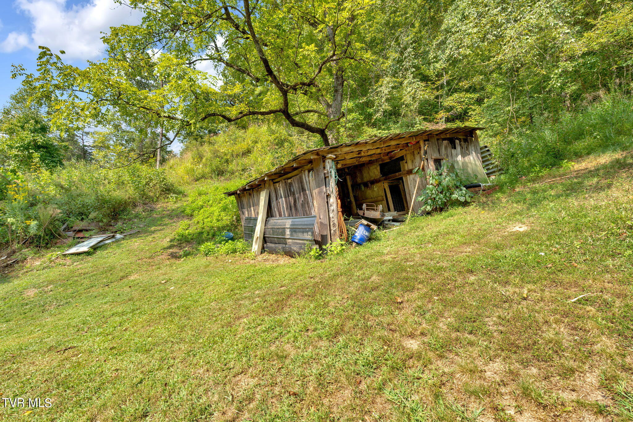 370 Speers Valley Road Duffield, VA 24244 - Photo 35 of 46 30-web-or-mls-JH 20240909-103