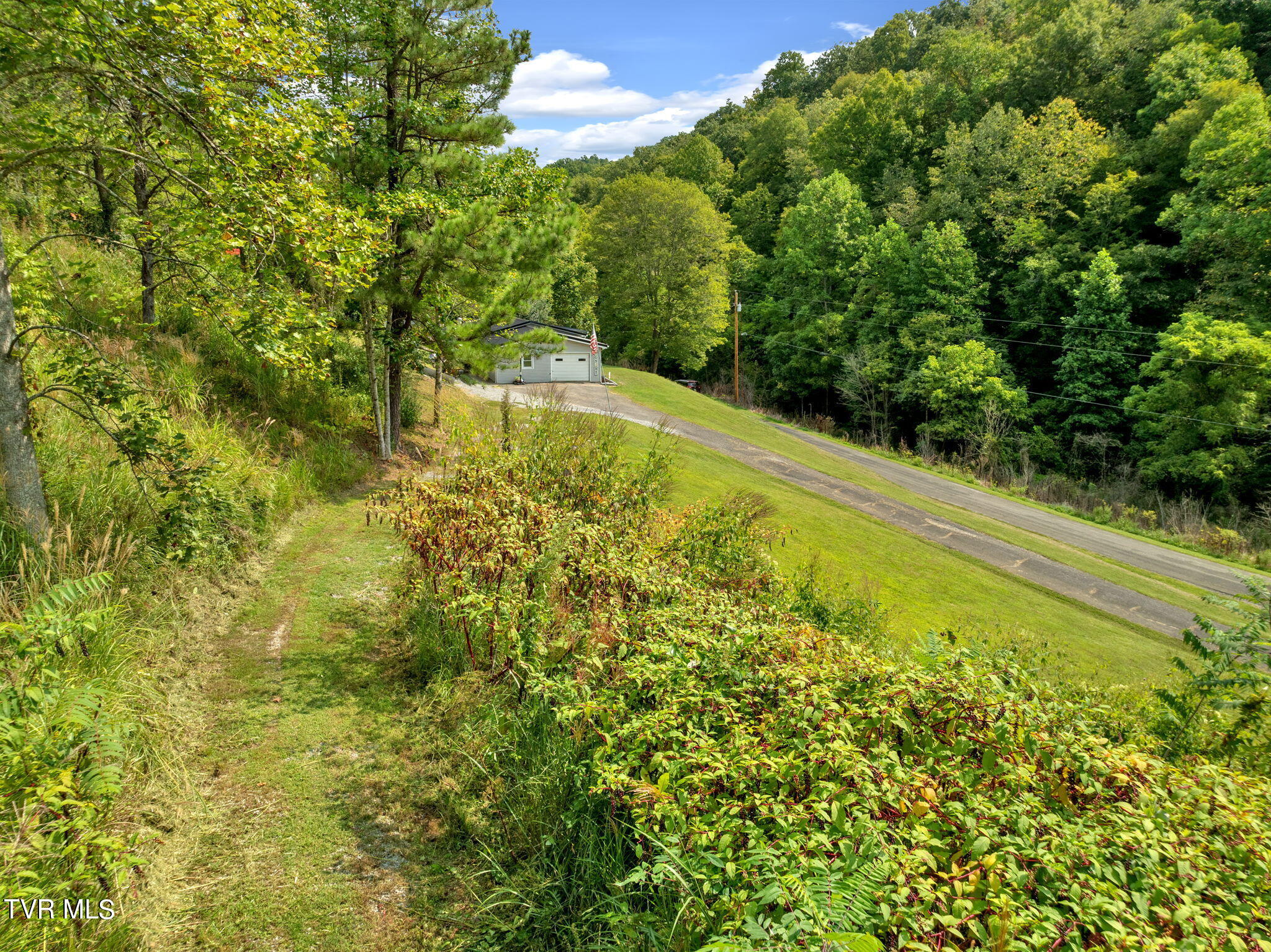 370 Speers Valley Road Duffield, VA 24244 - Photo 42 of 46 42-web-or-mls-JH 20240909-142