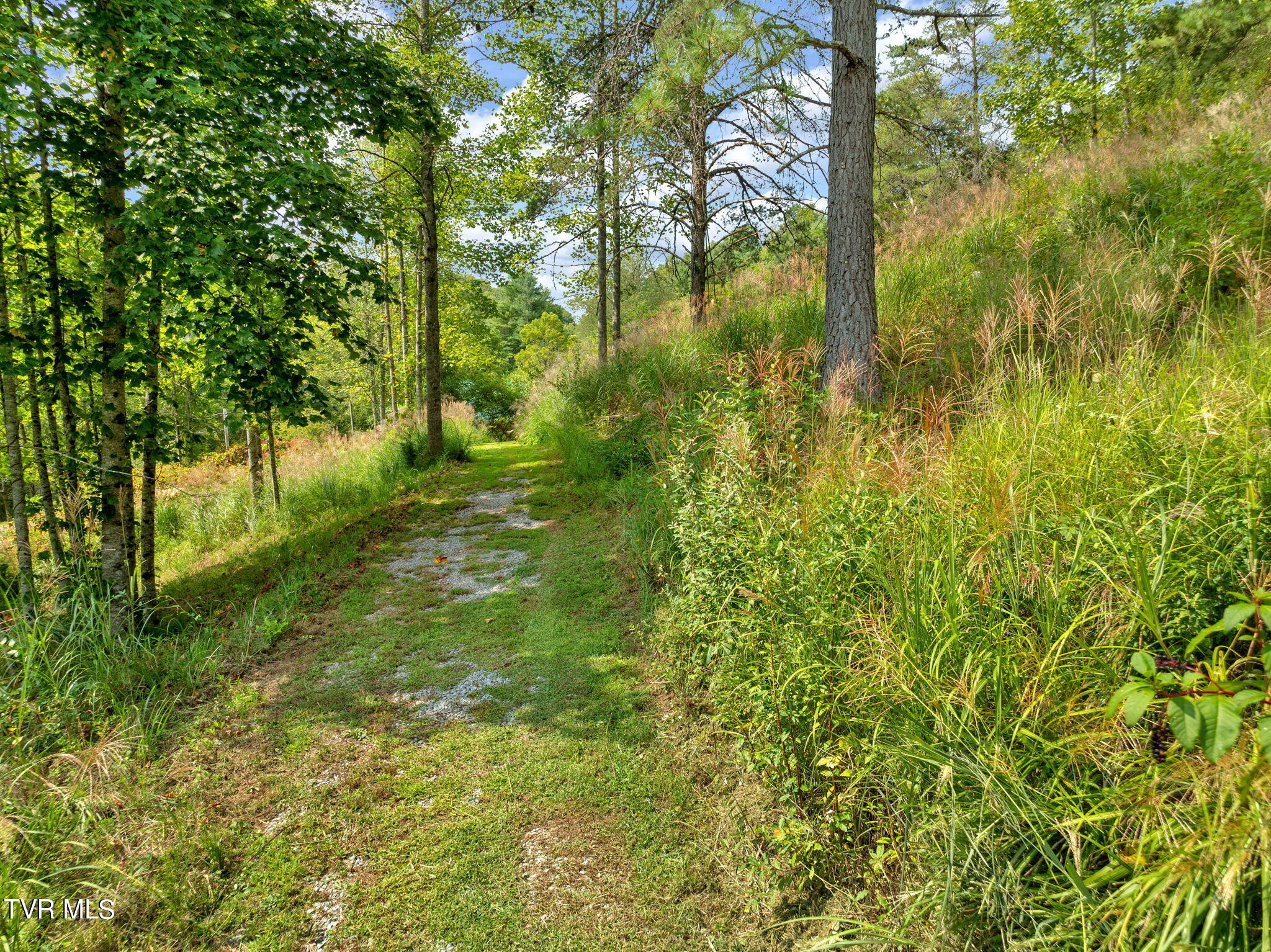 370 Speers Valley Road Duffield, VA 24244 - Photo 43 of 46 43-web-or-mls-JH 20240909-145