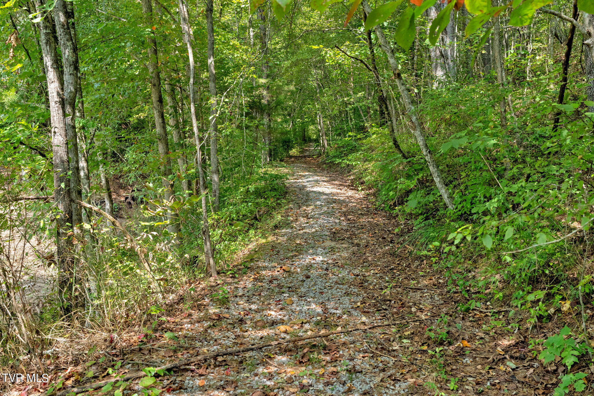 370 Speers Valley Road Duffield, VA 24244 - Photo 44 of 46 44-web-or-mls-JH 20240909-151