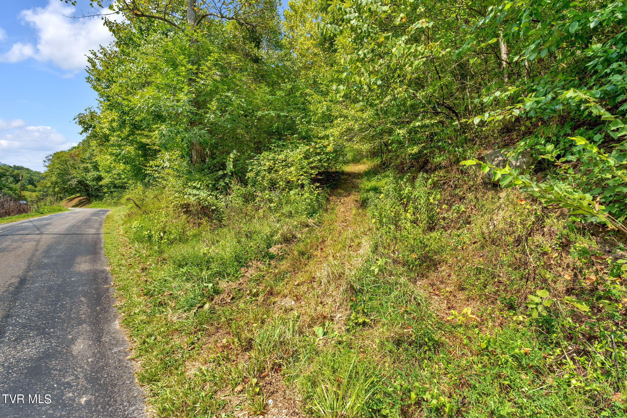 370 Speers Valley Road Duffield, VA 24244 - Photo 45 of 46 45-web-or-mls-JH 20240909-154