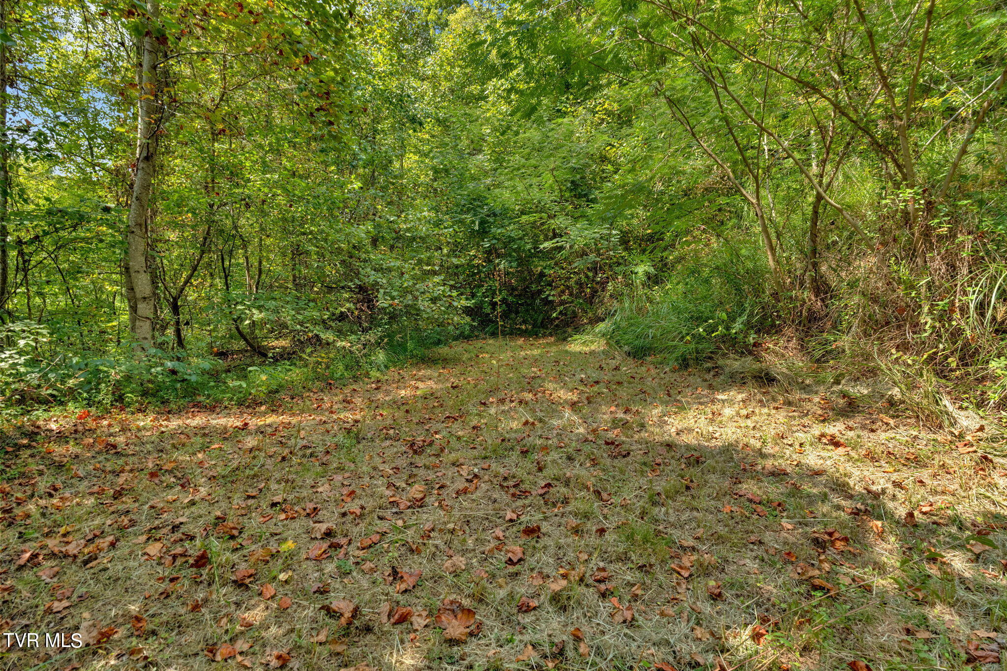 370 Speers Valley Road Duffield, VA 24244 - Photo 46 of 46 46-web-or-mls-JH 20240909-160