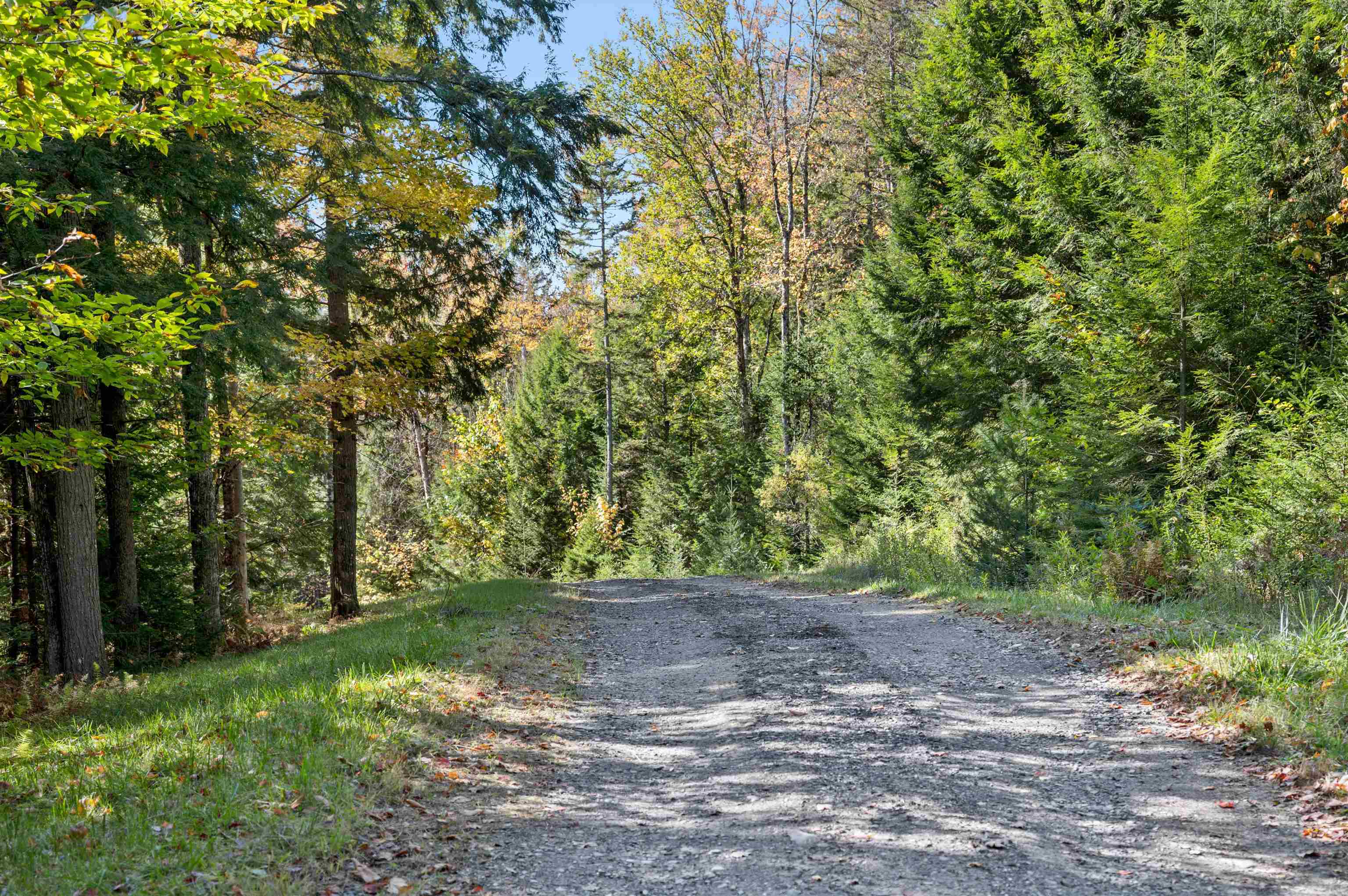442 Vt Rte 12, Unit 2 Barre, VT 05641 - Photo 13 of 21