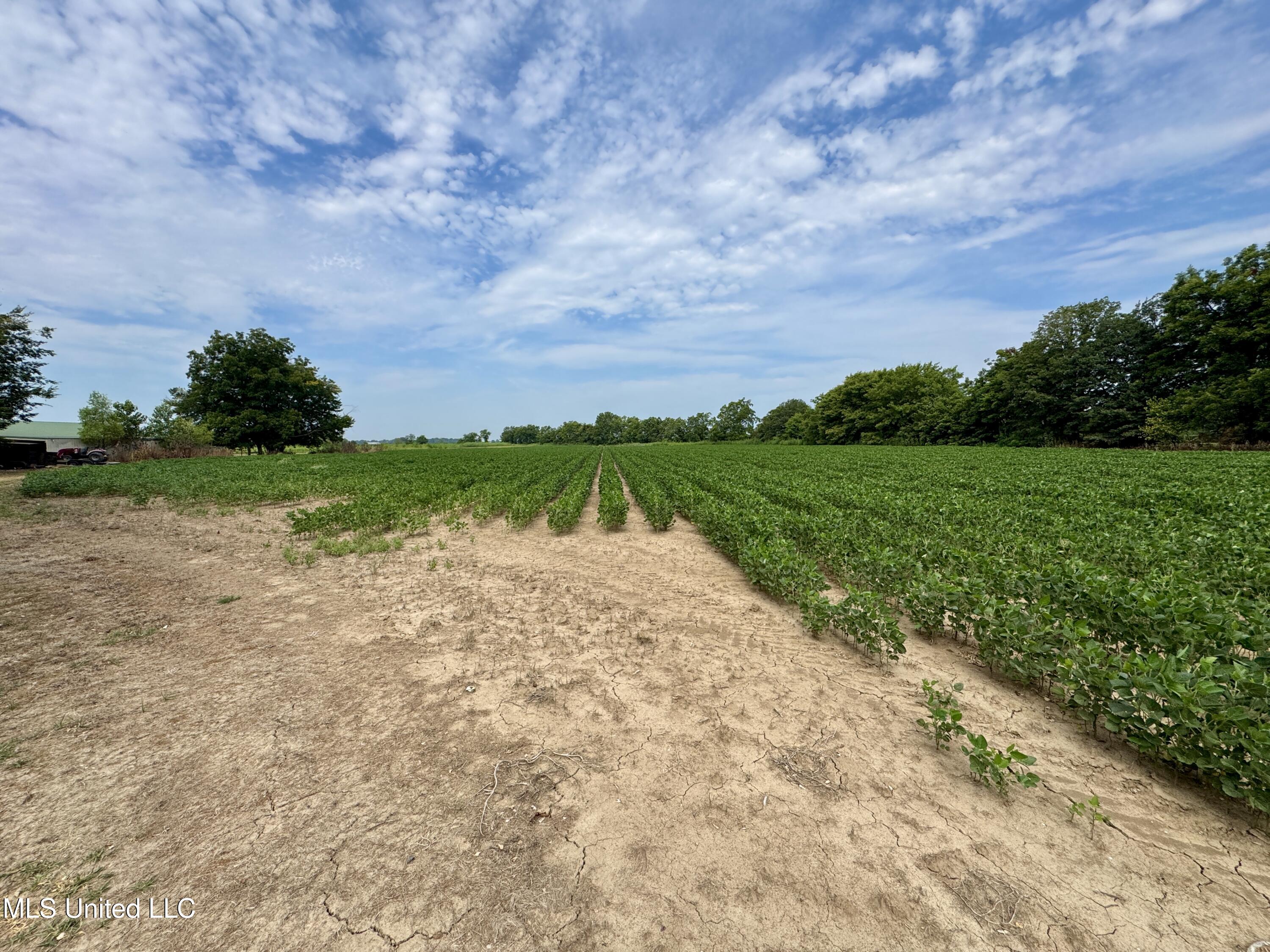 1407 Shaw-Skene Road Boyle, MS 38730 - Photo 21 of 29 IMG_3714