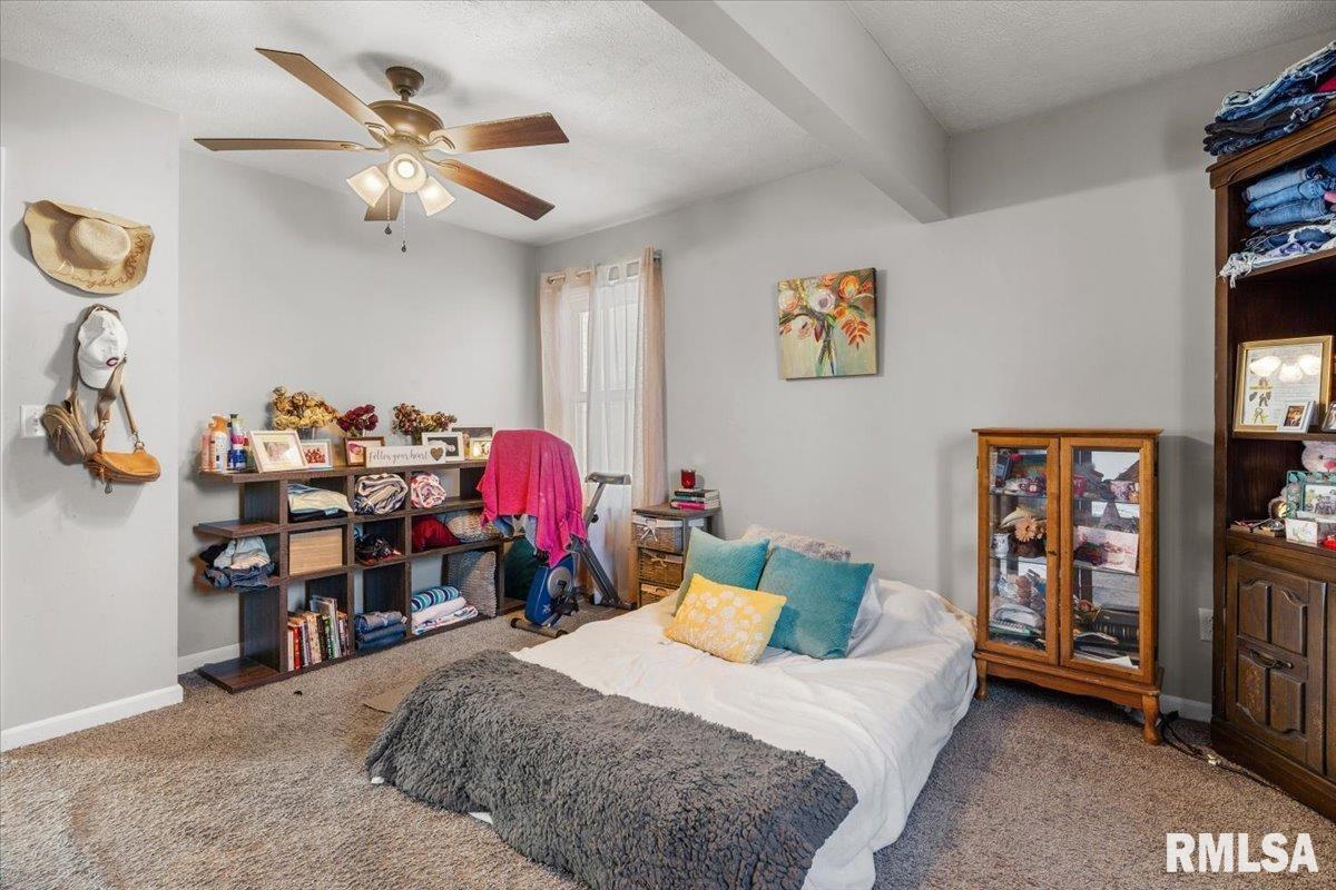 2277 East Converse Street Grandview, IL 62702 - Photo 14 of 24