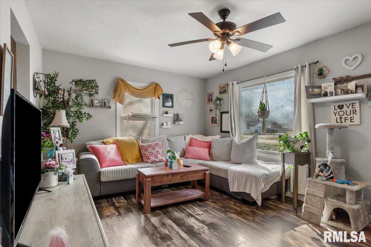 2277 East Converse Street Grandview, IL 62702 - Photo 7 of 24