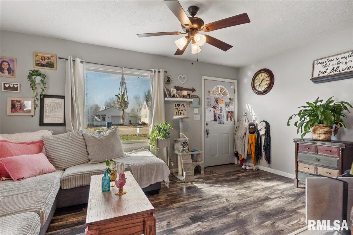 2277 East Converse Street Grandview, IL 62702 - Photo 8 of 24