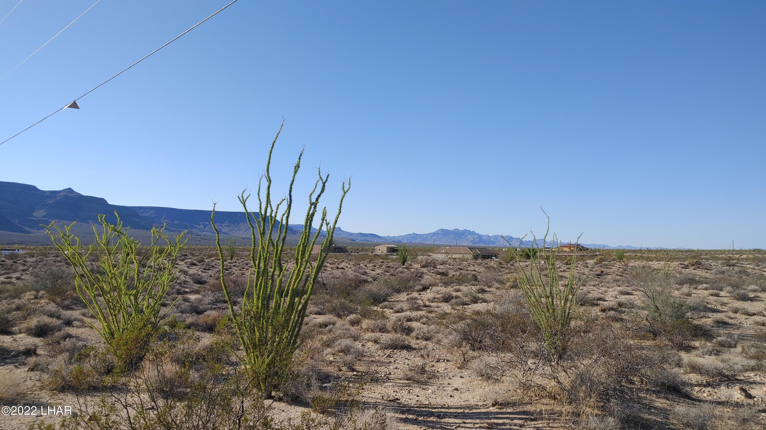 109 South McDowell Road Yucca, AZ 86438 - Photo 2 of 41 1001211614a