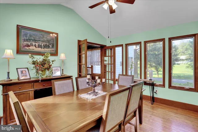 a living room with furniture windows and a fireplace