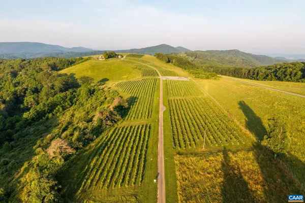 $9,950,000 | 24981 Blue Rdg Parkway, Vesuvius, VA 24483