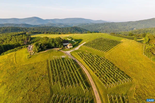 $9,950,000 | 24981 Blue Rdg Parkway, Vesuvius, VA 24483