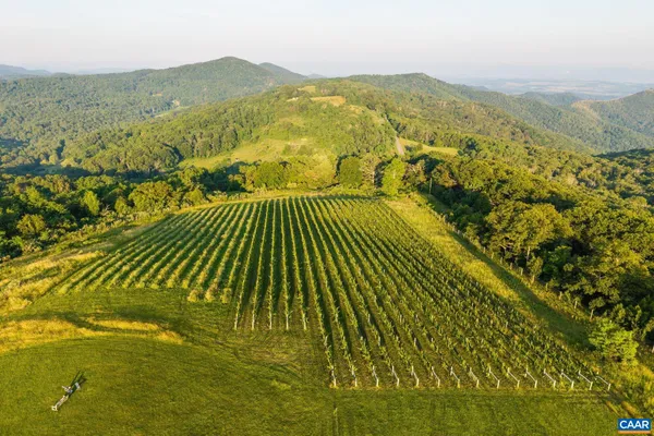 $9,950,000 | 24981 Blue Rdg Parkway, Vesuvius, VA 24483