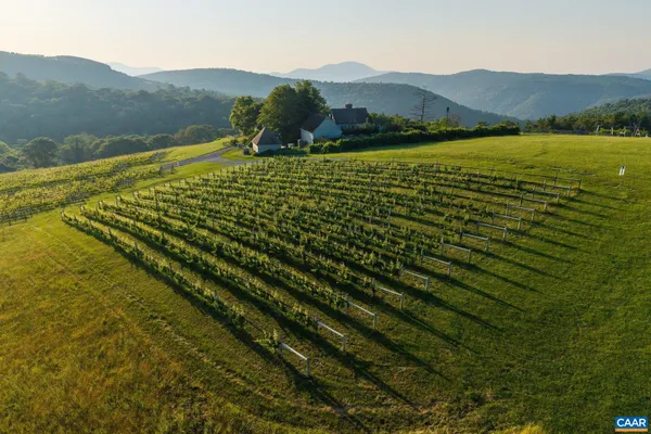 $9,950,000 | 24981 Blue Rdg Parkway, Vesuvius, VA 24483