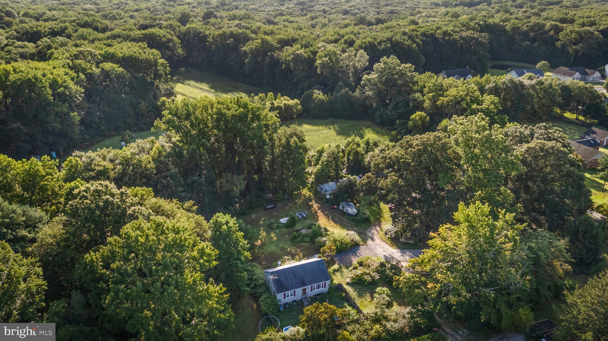 557 Mansion House Road Bear, DE 19701 - Photo 11 of 27 a plant that is in a yard